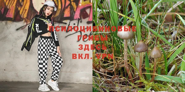 мяу мяу кристалл Волоколамск