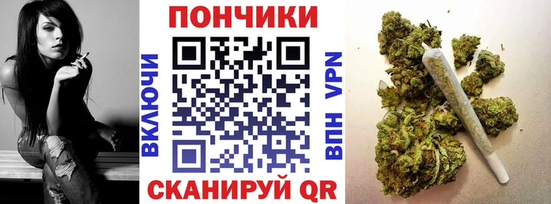 Купить закладки  Куртамыш  МАРИХУАНА сатива 